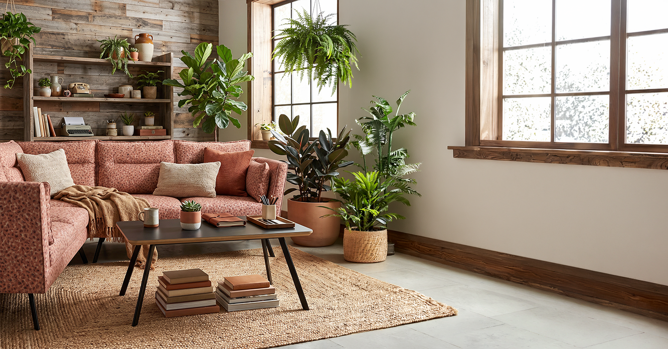 anna-2