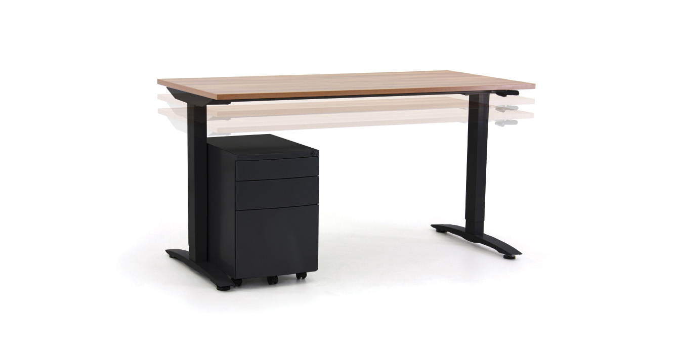 OARD 1608 W S Adjust_Black Frame