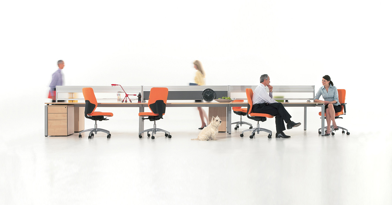 OBL Work Bench